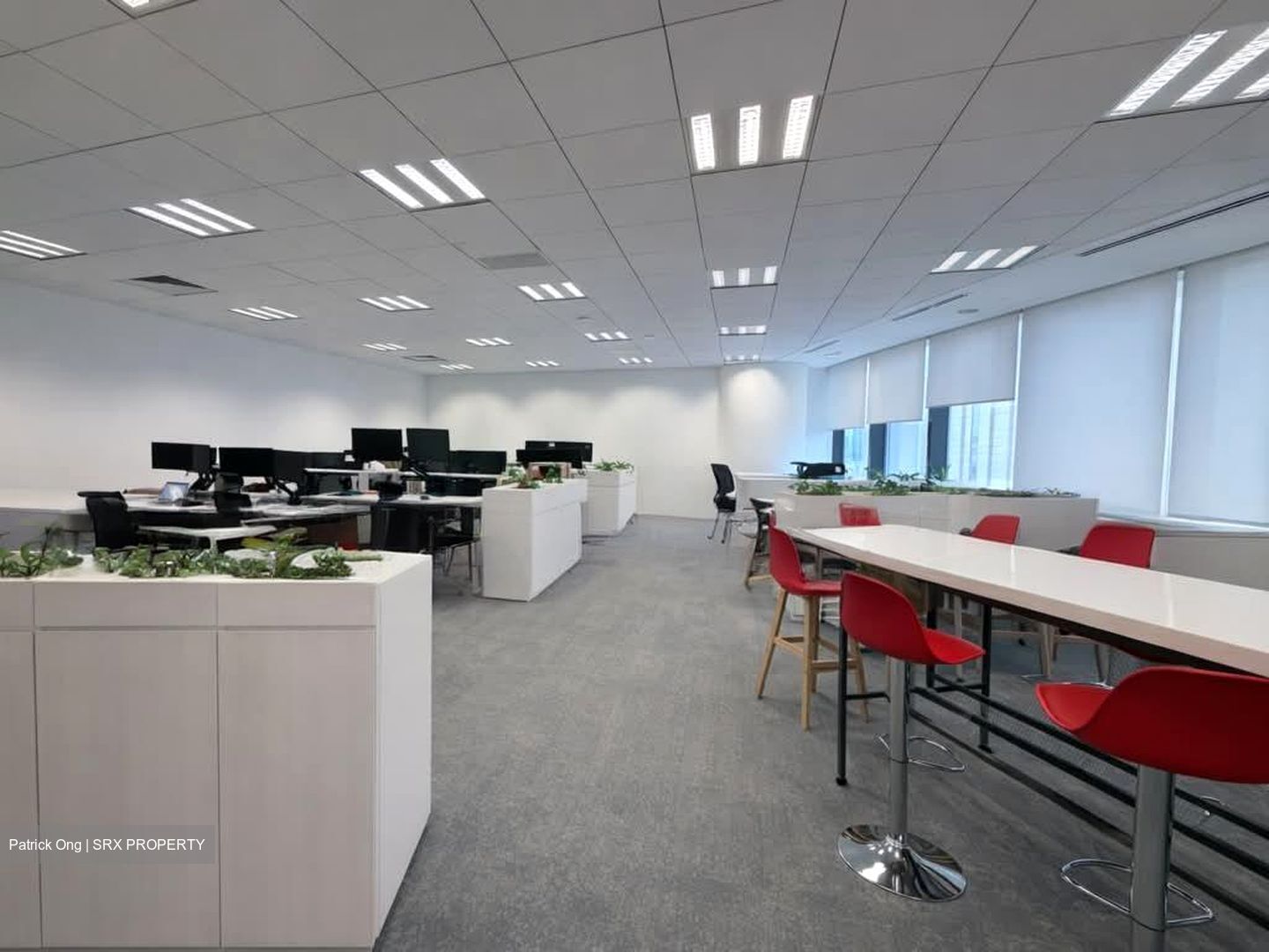 Duo Tower (D7), Office #568035971